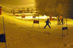 bojanine-vode-skijanje-u-srbiji